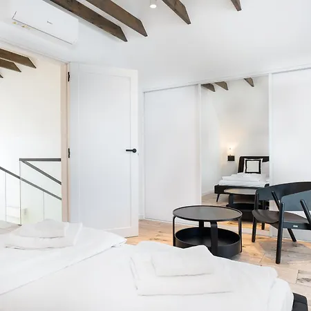 Modern Паланга